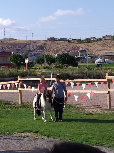 Kayseri Osmanlı At Çiftliği