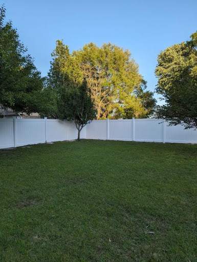 Avatar for Plantation Projects