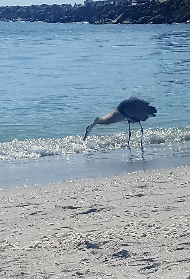 Sanibel Island