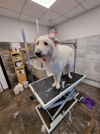 Chien beauté Tullins (Sur Rendez-vous) à Tullins