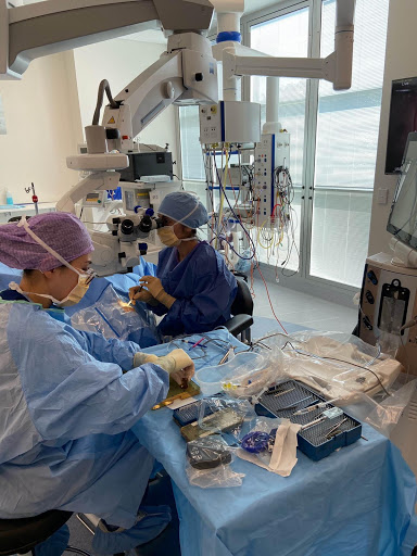 Forest Eye Surgery - Thumbnail