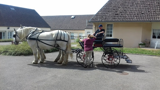 Photo de Résidence Prieur de la Côte d'Or de Joigny - EHPAD et Résidence Services pour Séniors - Pavonis Santé à Gurgy (89250)