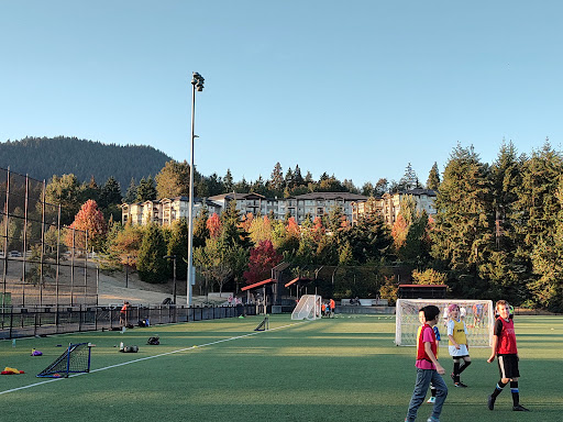 Town Centre Park Field 4: North Field Logo
