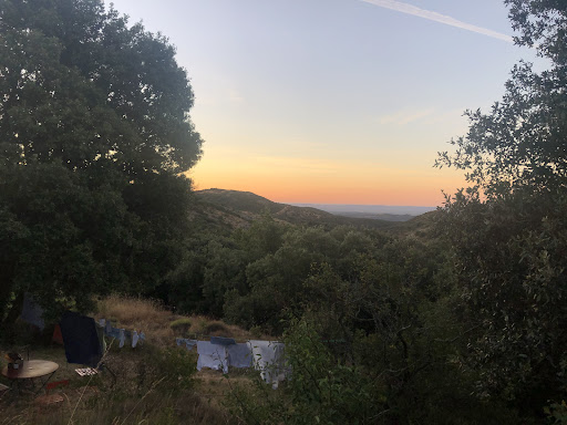 Solongo - Visual