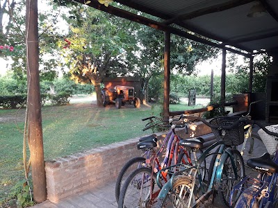 Photos of Caba&ntilde;as Del Bajo Hondo