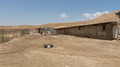 Photos of دامداری سید مهدی پرپنجی