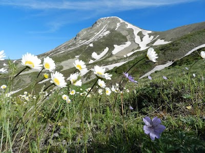 SÜLBÜS DAĞI