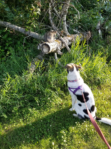 Gaetz Park - Thumbnail