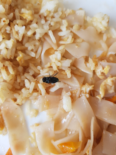 Jasmine Chinese Takeaway - Thumbnail
