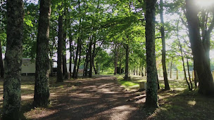 Photo n°4 de Camping Le Chêne du Lac à Bayas (Terrain pour camping-cars)