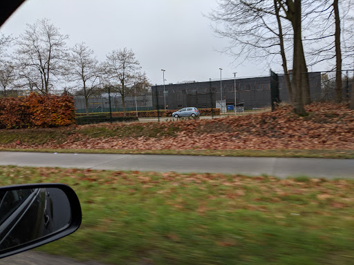 Rooyse Wissel