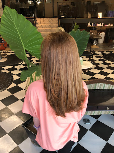 Heintz Hair Design