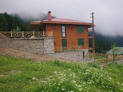 Kulakkaya Yaylası Giresun