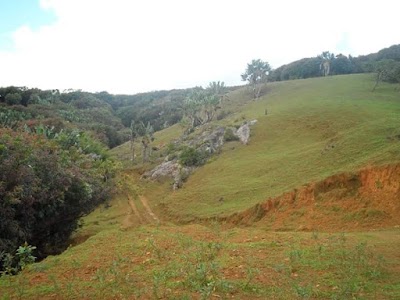 park