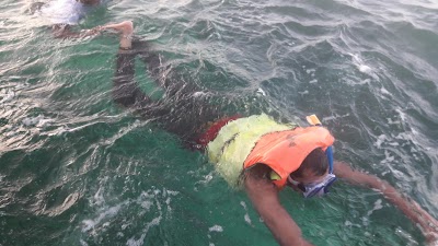 Photos of Moucha Island