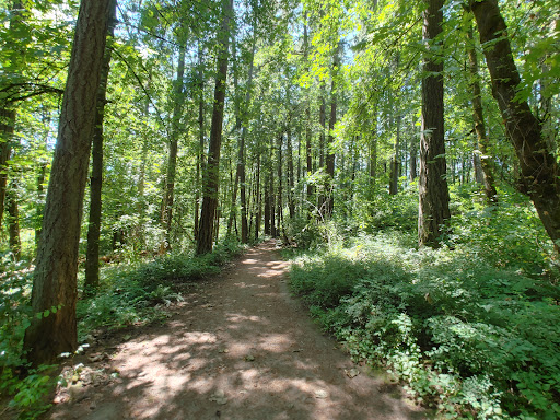 Bryant Woods Nature Park Logo