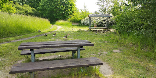 FKK-Insel Sternberg - Thumbnail