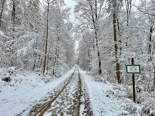 Wanderparkplatz Baacherstraße Parkhäusle - Thumbnail