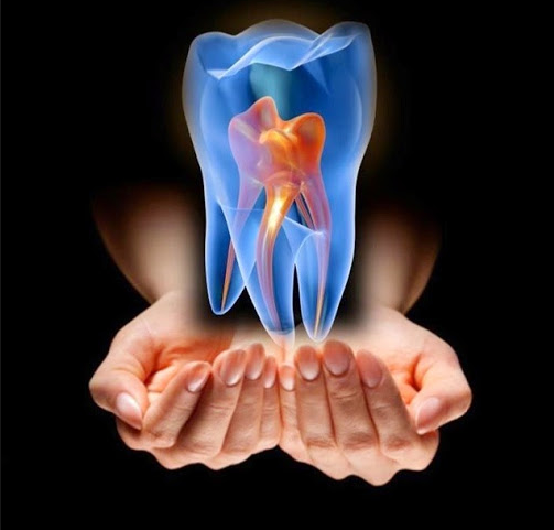 H. Lance Donald DDS - Thumbnail