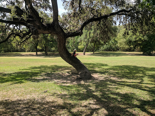 Stillman Park - Visual