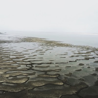 Photos of মেঘলাল পশ্চিমপাড়া দ্বিতীয় মসজিদ