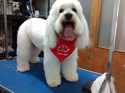 Photos of Pets & Vets