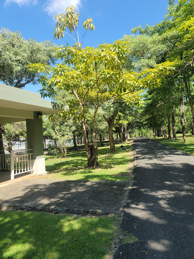 Parque Julia de Burgos - Thumbnail