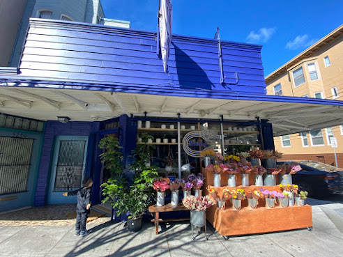 The Mellow Mission by null