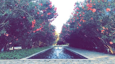 Photos of BackYard Restaurant