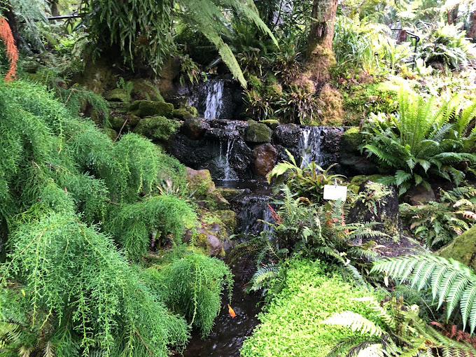 Royal Tasmanian Botanical Gardens