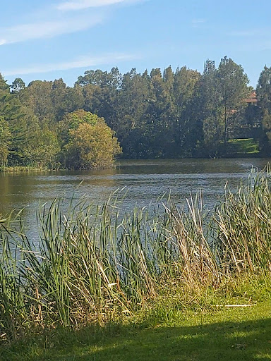 Eucalyptus Circuit Reserve Playground