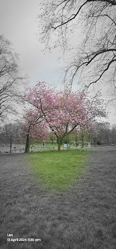 West Bromwich War Memorial - Thumbnail