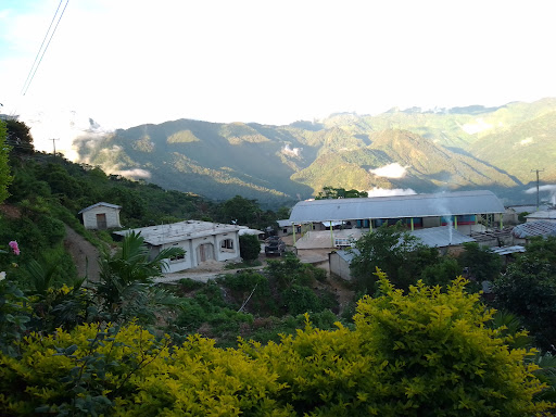 Ejido las Palmas