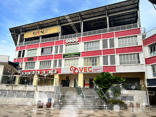 VEC Veterinary Clinic Kota Damansara PJ | Cats, Dogs Friendly | Night Vet