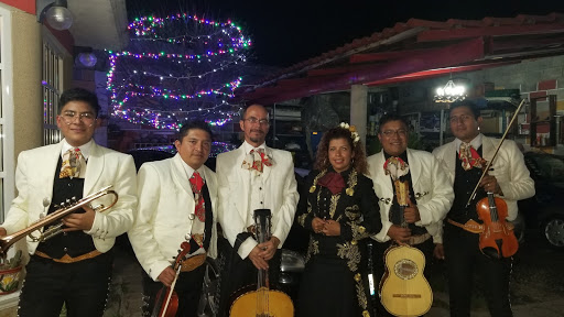 Vero la Golondrina Cantante Versatil Y Sonido para Fiestas.