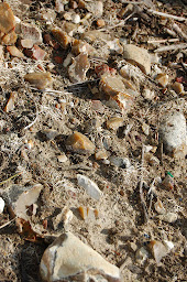 Photo n°24 de Vignobles Jourdain à Lye (Attraction touristique)