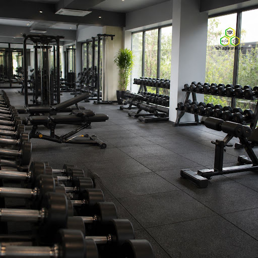 A clean, well-organised gym makes every workout safer, smoother and more motivating. At Shapemeup… post image