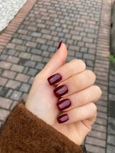 LeShjlle - Visual