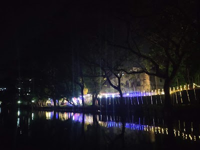 university