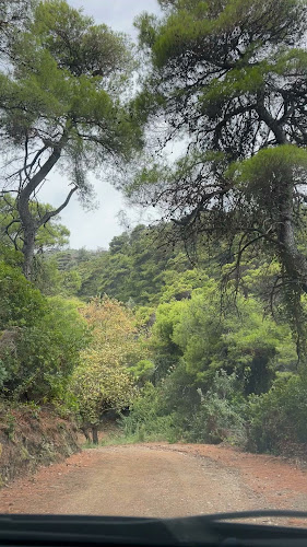 Φάρος Γουρούνι Σκοπέλου - Σκόπελος