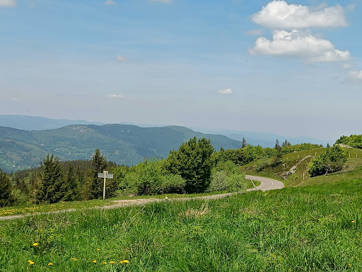 Grand Ballon - Thumbnail