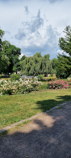 Rosengarten am Moorbad