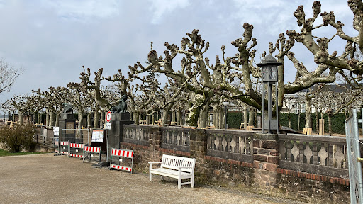 Platanenhain - Visual