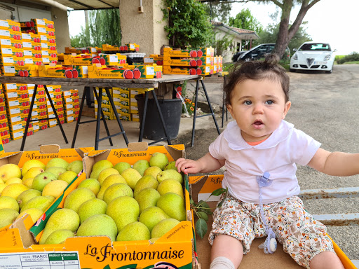 Gaec Des Jouaninels (La Frontonnaise) - Thumbnail