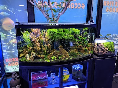 Shipwreck Cove Custom Aquariums