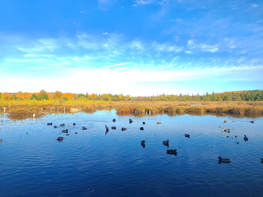 The Orillia Fish And Game Conservation Club - Thumbnail
