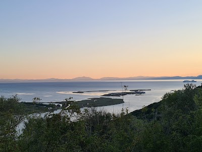 Panoramic Parking