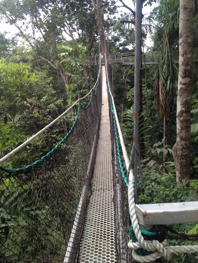 Photos of Iwokrama