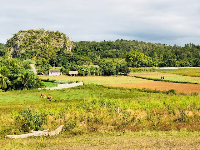 Jardin Botanico de Vinales