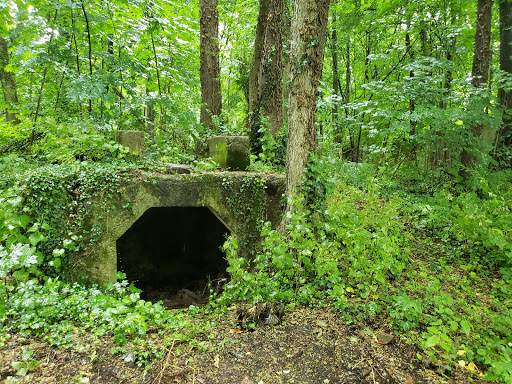 Musselman - Vesta Furnace - Thumbnail